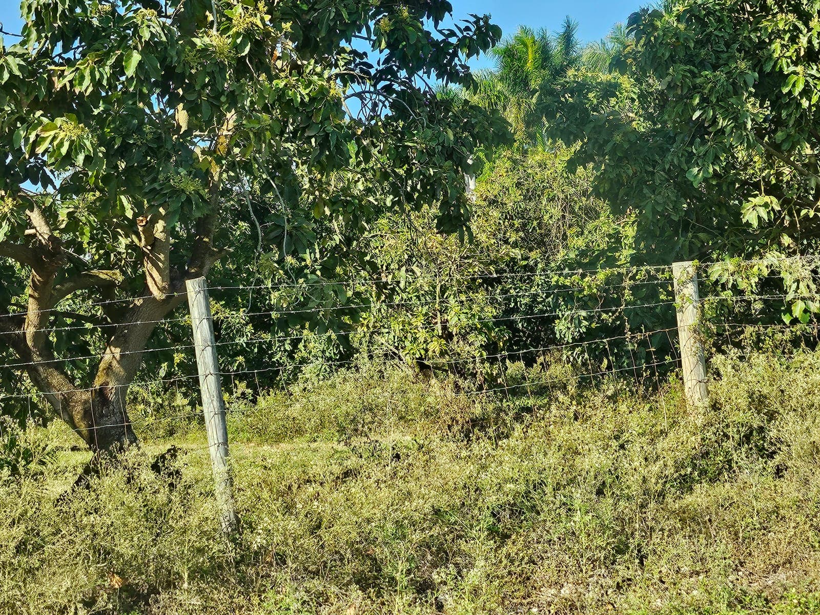 Mweka Agri-Project site